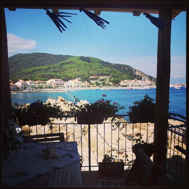 La Casina Rossa Villa Marciana Marina  Bagian luar foto